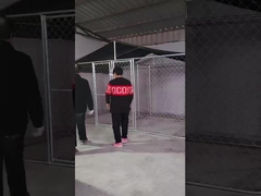 Stalowa buda dla psa