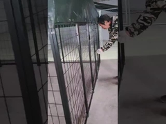 6 stóp wysokości spawany stalowy domek dla psów