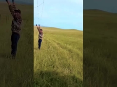 Panel ogrodzenia z galwanizowanym ogniem dla bydła 8 stóp wysokości