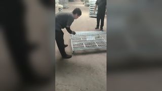 Wytrzymałe, składane klatki z siatki drucianej do magazynów