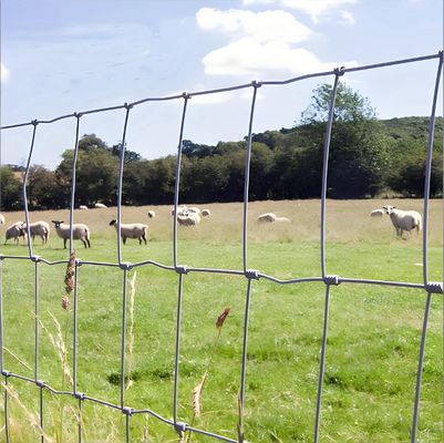 Hot-Dipped Galvanized Cattle Farm Fence with 1.2m Height and 100m Length for Grassland and Farm Use