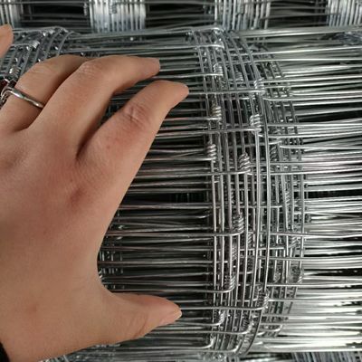 1.5M Galwanizowane płyty dla bydła, metalowe płyty dla zwierząt hodowlanych