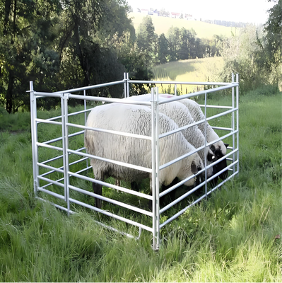 6Rails Heavy Duty Galvanized Livestock Cattle Panel Corral Panels