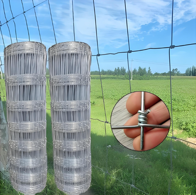 Electro Galvanized Grassland Fencing Hinge Joint 1.8m Height 100m Length Pasture Fence Roll